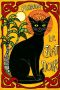 Cat Le Chat Noir
